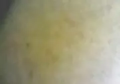 همسایه بی کانال سکس زنان نظیر نهایی