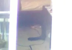 Eine geile fotze فیلم سوپر زن زیبا vor der Geld Kamera